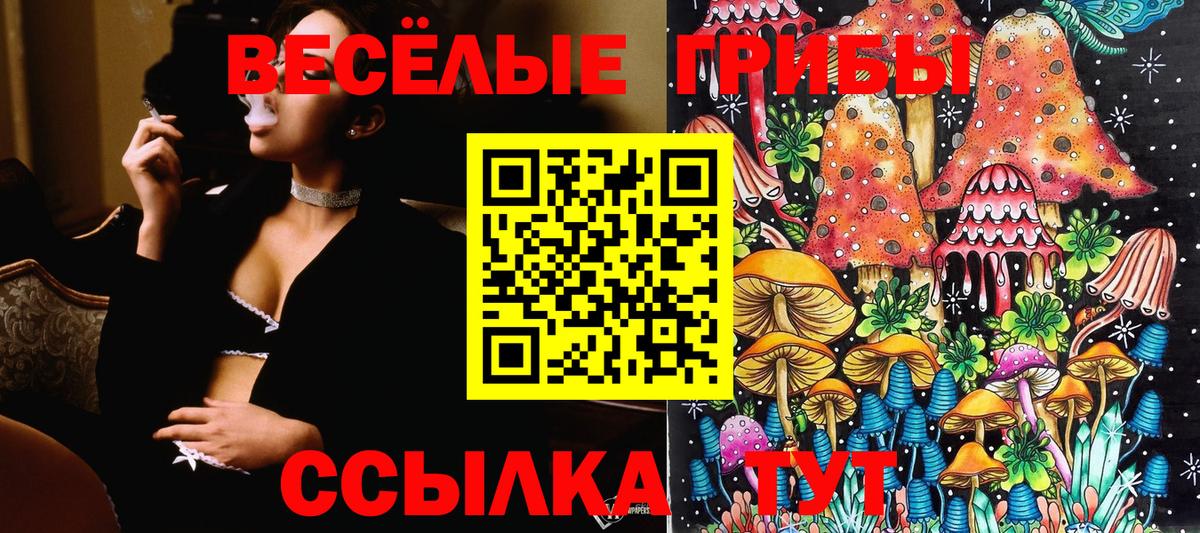 Галлюциногенные грибы прущие грибы  Вход с VPN  Шелехов 